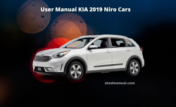 KIA 2019 Niro Cars
