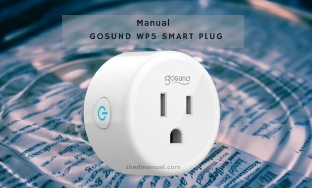 Gosund WP5 Smart Plug