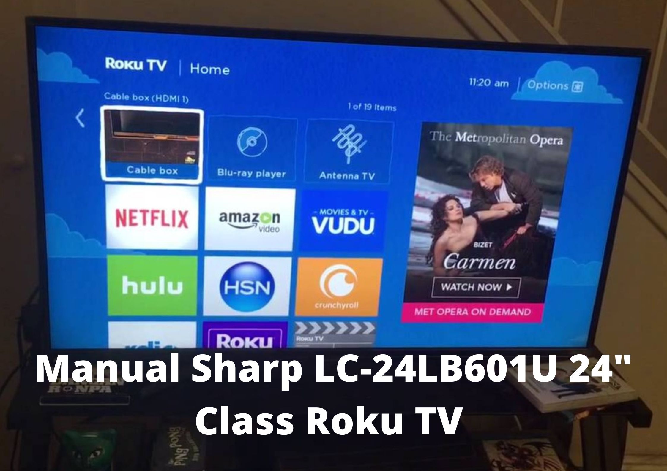 Manual Sharp LC 24LB601U 24 Class Roku TV Televisions