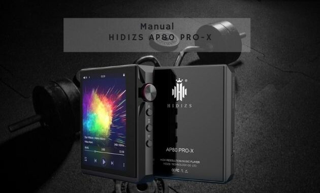 HIDIZS AP80 PRO-X