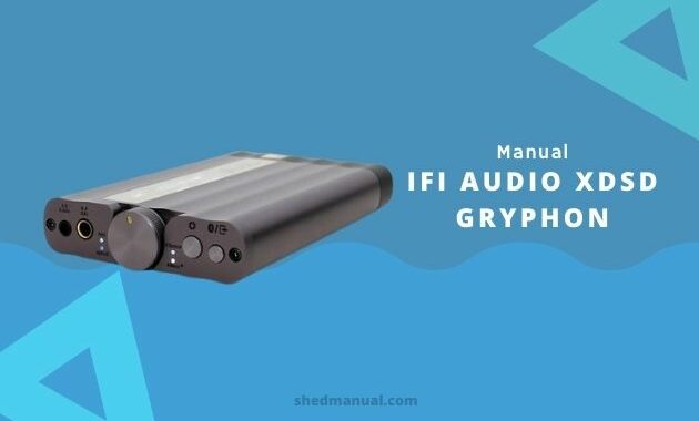 Ifi Audio Xdsd Gryphon